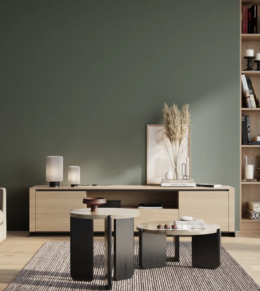 P10_SNIEZKA_salon_01_poranek_GREY_S6010-B70G