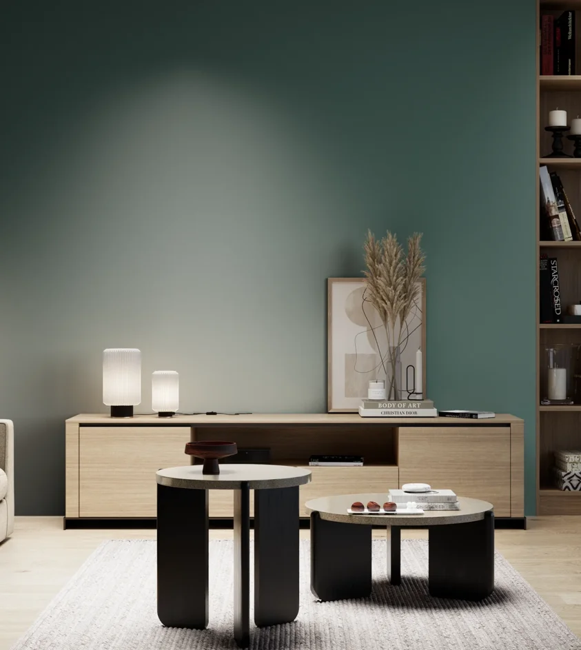 P10_SNIEZKA_salon_05_zimne_GREY_S6020-B70G
