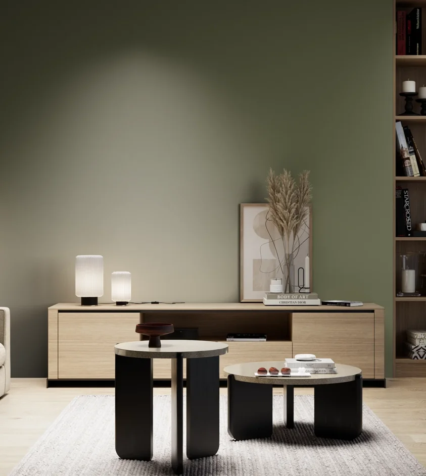 P10_SNIEZKA_salon_05_zimne_GREY_S6020-G50Y