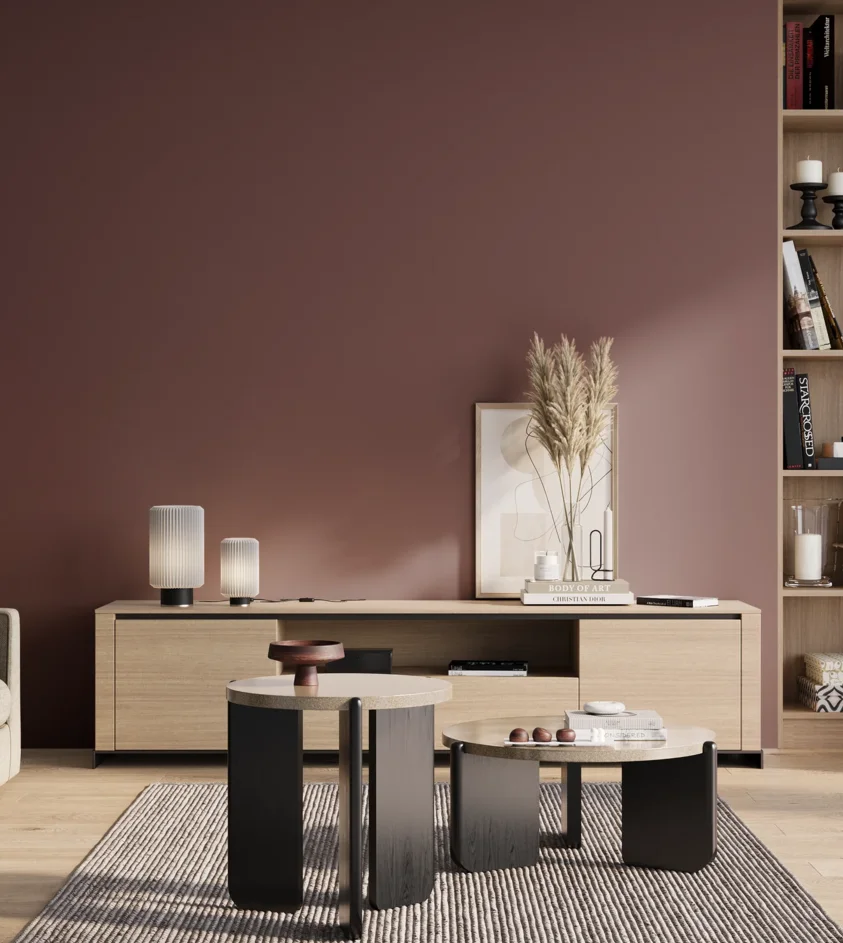 P10_SNIEZKA_salon_01_poranek_GREY_S6020-R10B