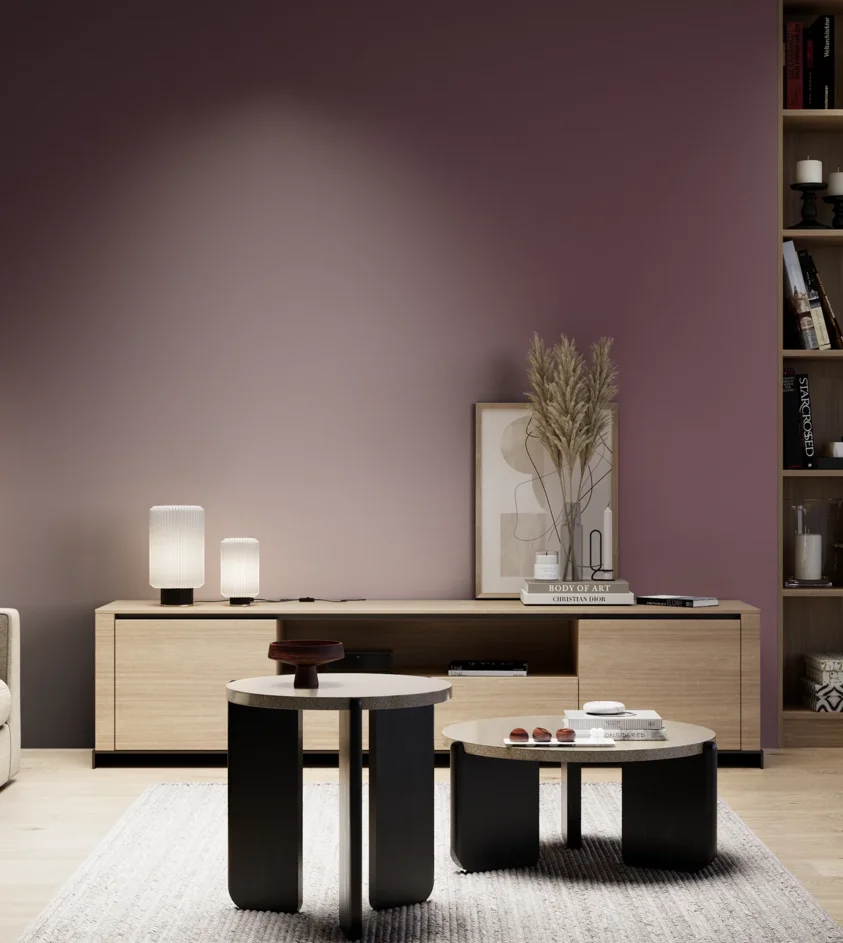 P10_SNIEZKA_salon_05_zimne_GREY_S6020-R20B