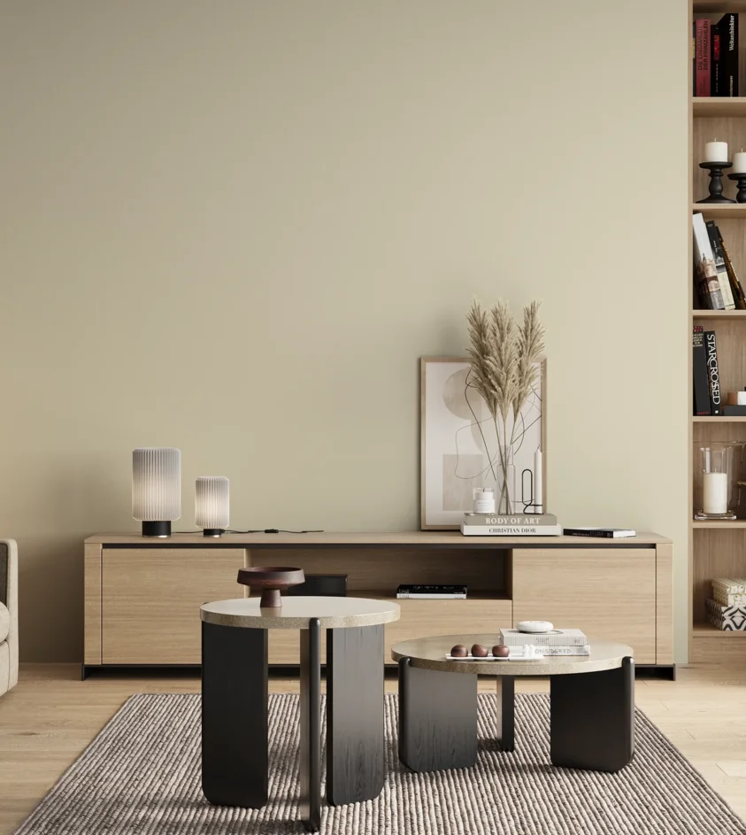 P10_SNIEZKA_salon_00_neutral_GREY_S0505-Y