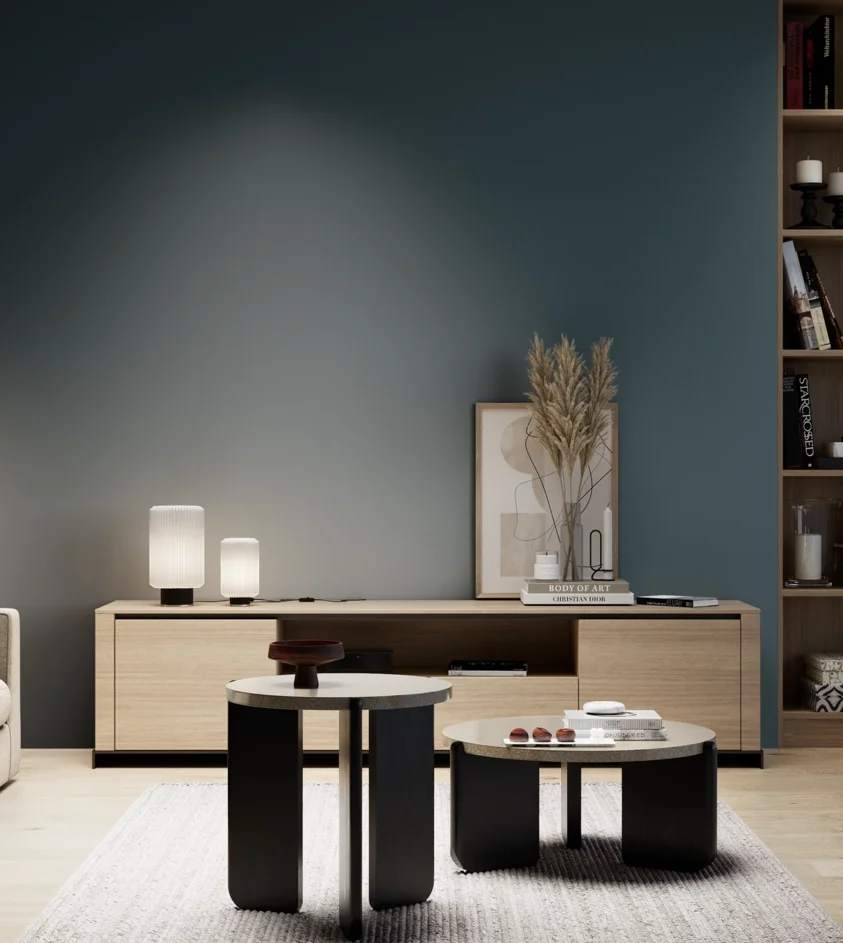 P10_SNIEZKA_salon_05_zimne_GREY_S7020-B10G