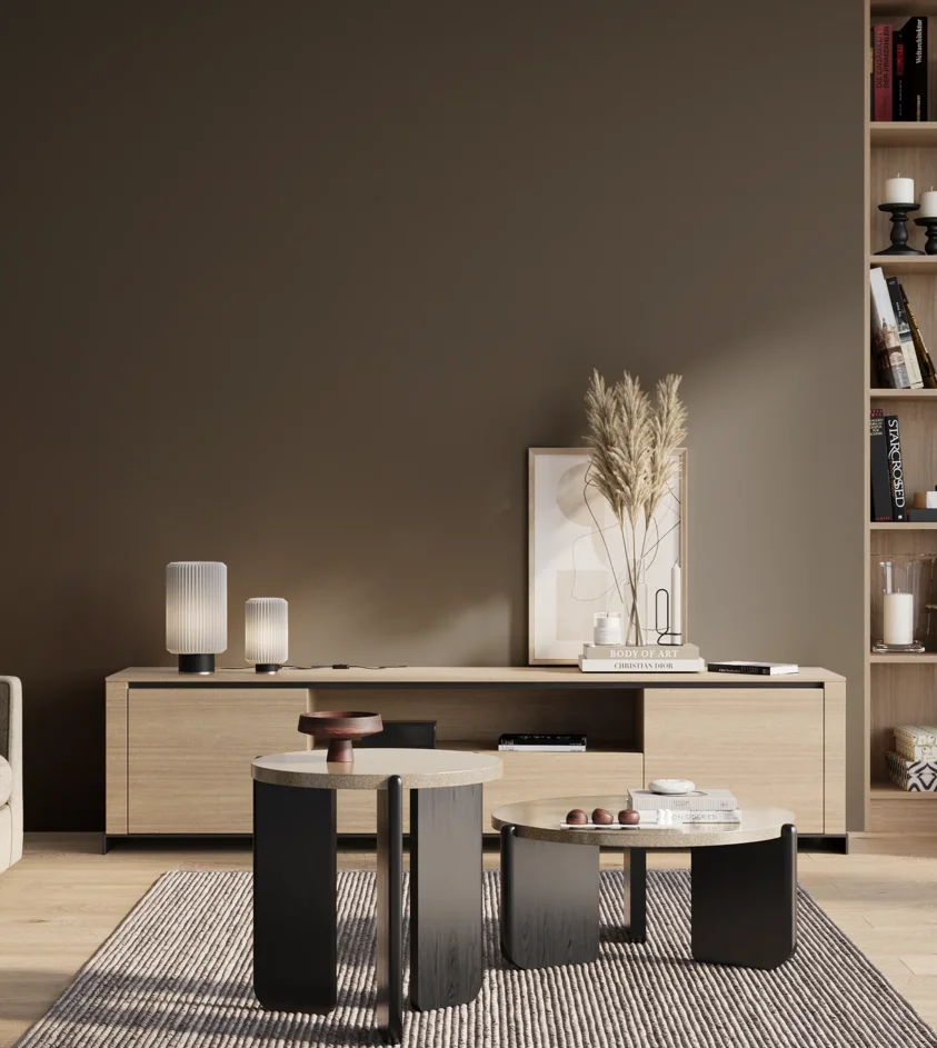 P10_SNIEZKA_salon_01_poranek_GREY_S8005-Y20R
