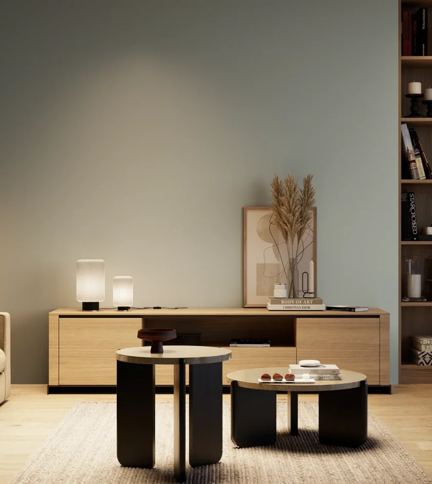 P10_SNIEZKA_salon_04_cieple_GREY_S3005-B50G