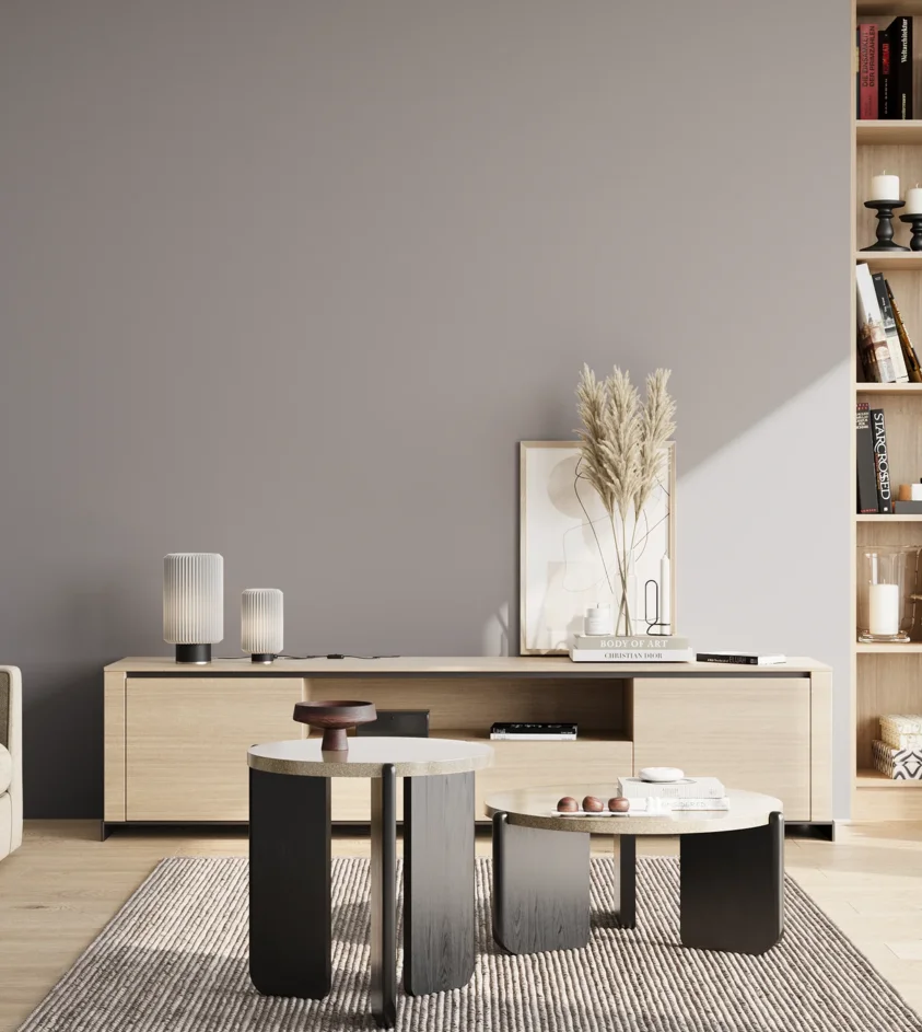 P10_SNIEZKA_salon_02_poludnie_GREY_S3502-R50B