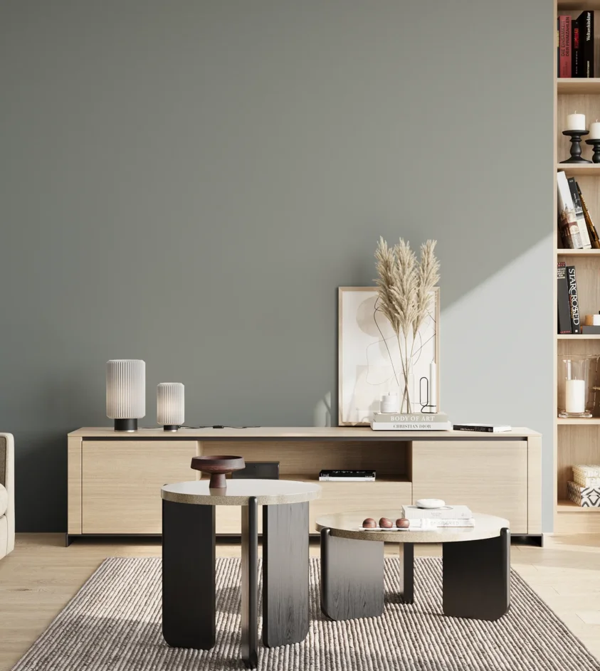 P10_SNIEZKA_salon_02_poludnie_GREY_S4005-B50G