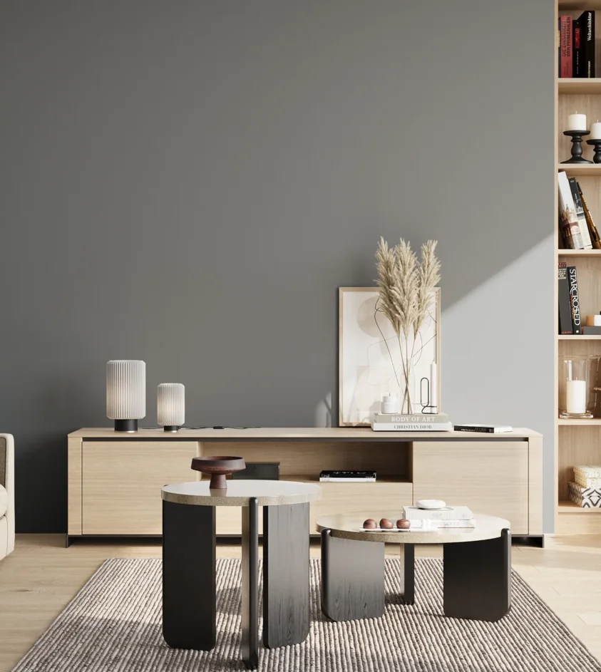 P10_SNIEZKA_salon_02_poludnie_GREY_S5005-B