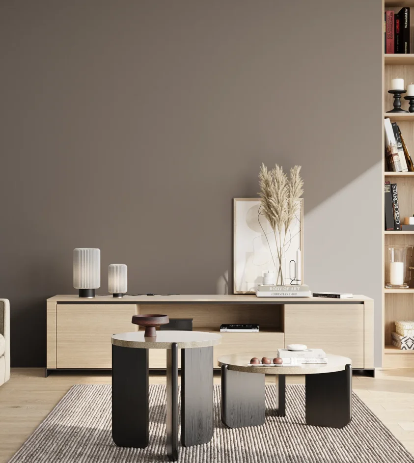 P10_SNIEZKA_salon_02_poludnie_GREY_S5502-Y80R