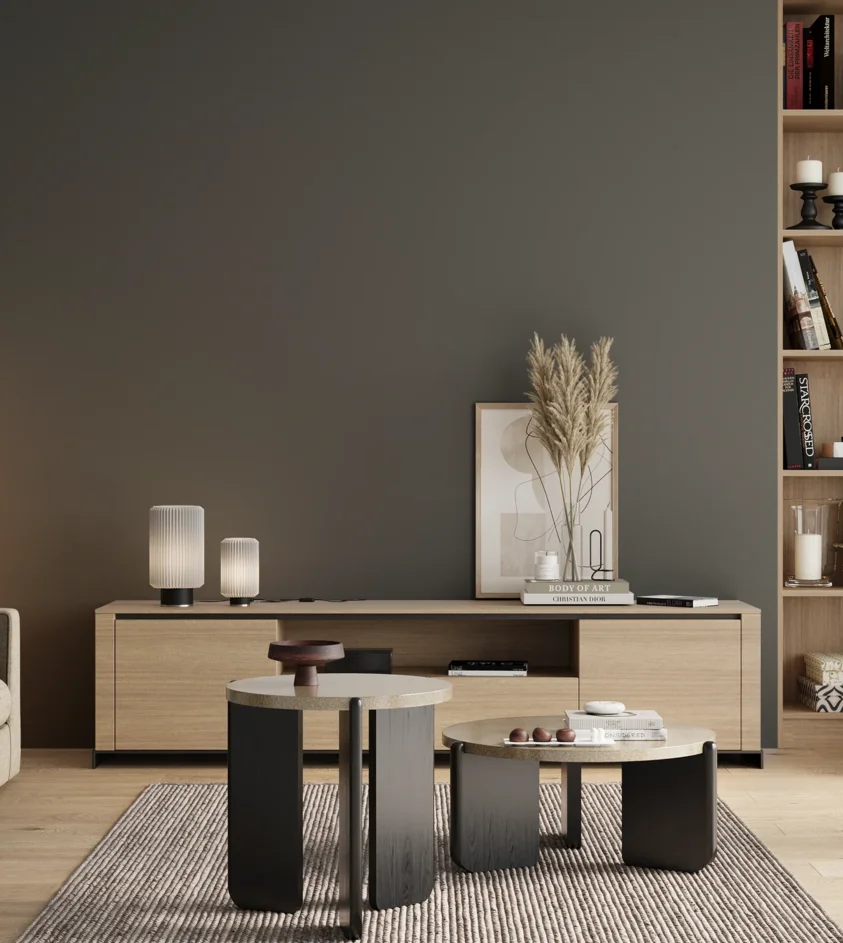 P10_SNIEZKA_salon_00_neutral_GREY_S6502-B50G