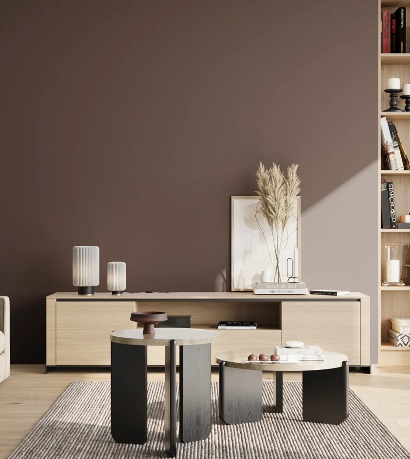 P10_SNIEZKA_salon_02_poludnie_GREY_S7005-R