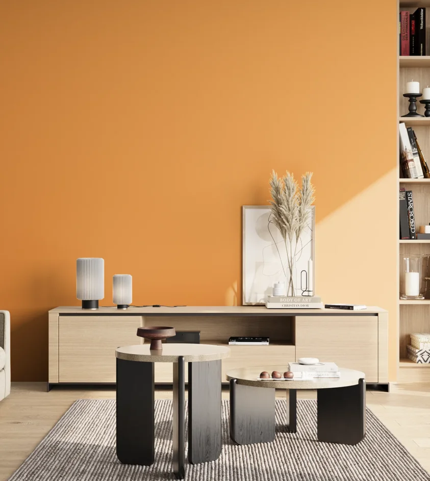 P10_SNIEZKA_salon_02_poludnie_GREY_RAL1017