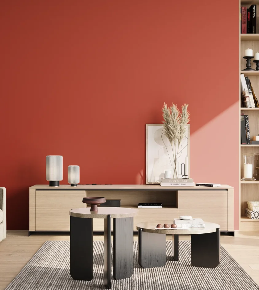 P10_SNIEZKA_salon_02_poludnie_GREY_RAL2002