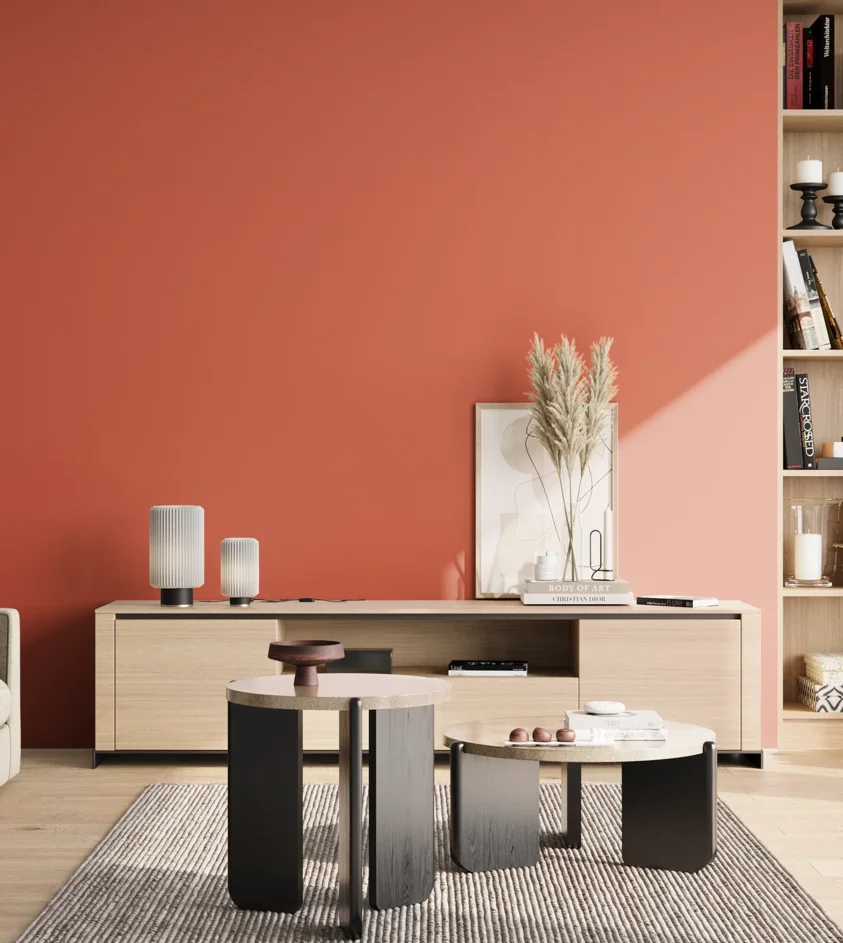 P10_SNIEZKA_salon_02_poludnie_GREY_RAL2012