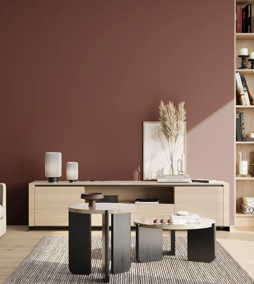 P10_SNIEZKA_salon_02_poludnie_GREY_RAL3009