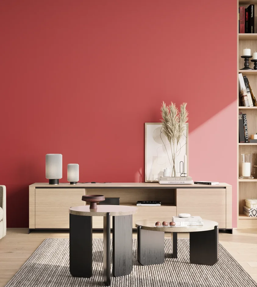 P10_SNIEZKA_salon_02_poludnie_GREY_RAL3018