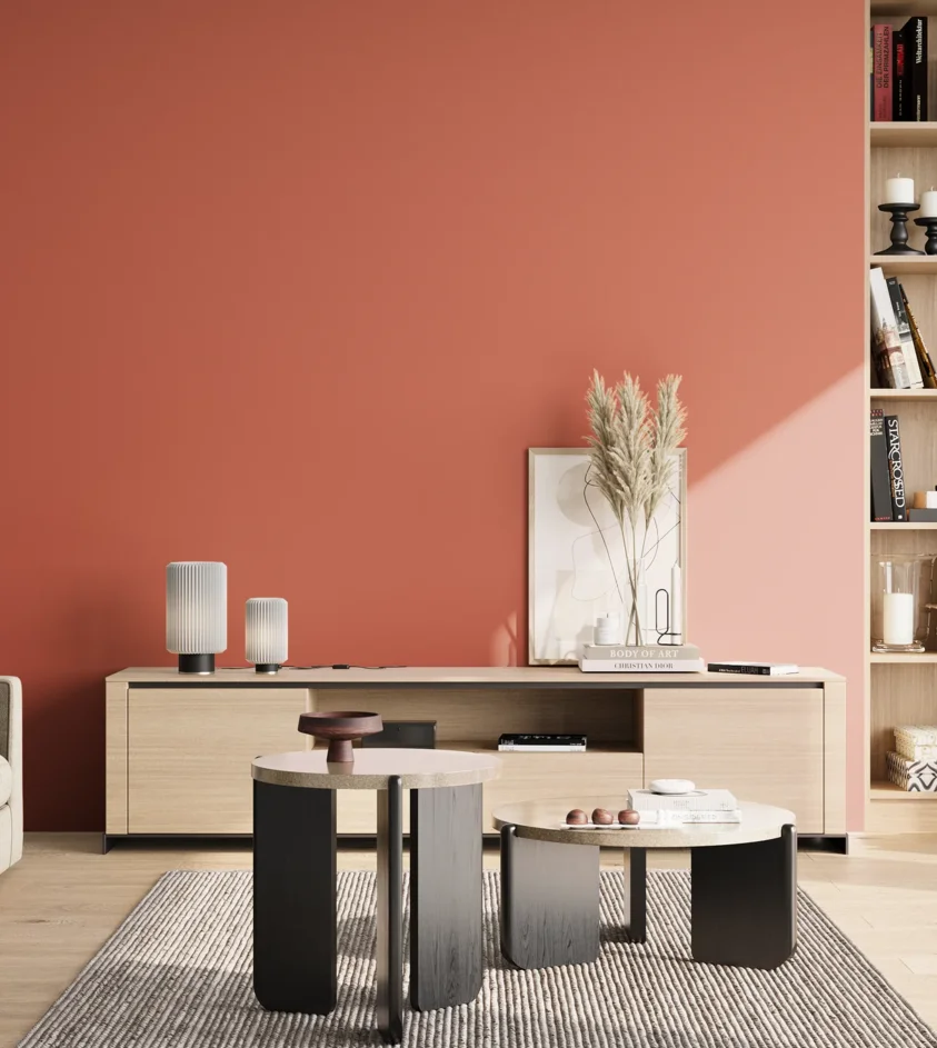 P10_SNIEZKA_salon_02_poludnie_GREY_RAL3022