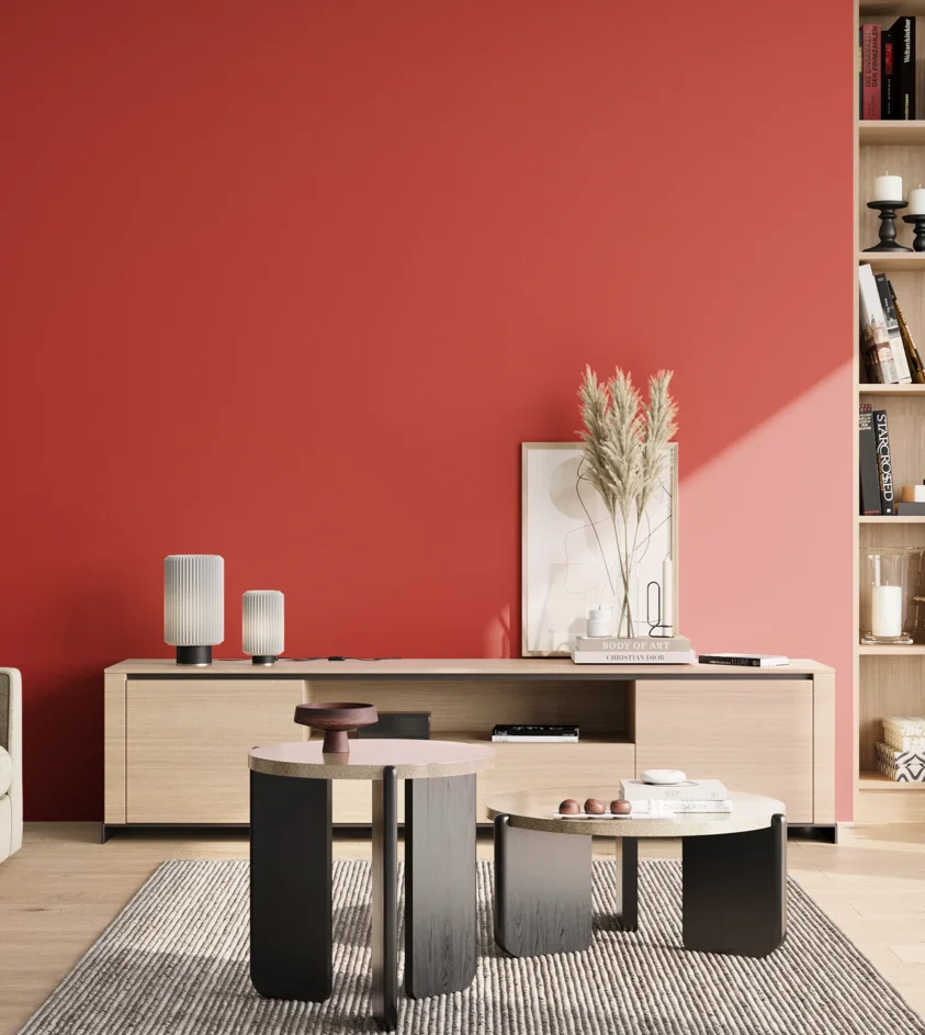 P10_SNIEZKA_salon_02_poludnie_GREY_RAL3028