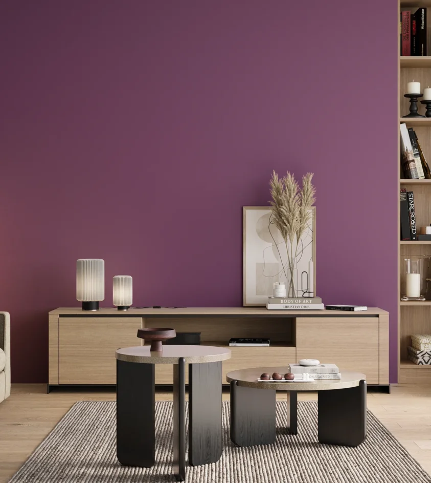 P10_SNIEZKA_salon_00_neutral_GREY_RAL4008