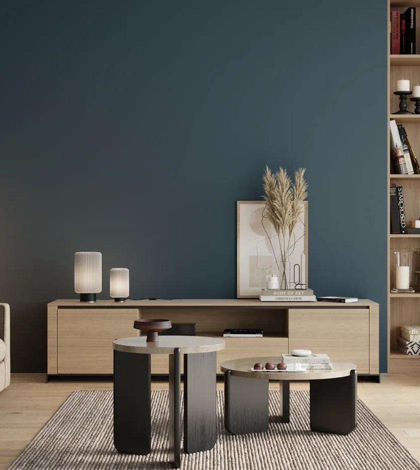 P10_SNIEZKA_salon_00_neutral_GREY_RAL5001