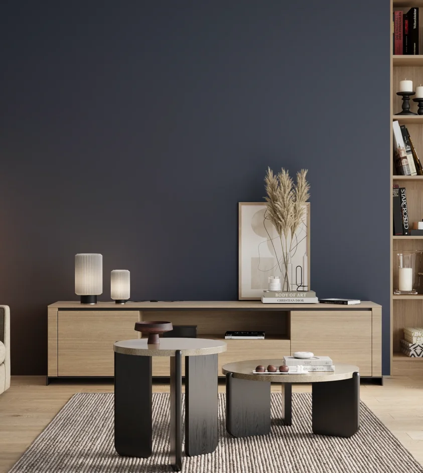 P10_SNIEZKA_salon_00_neutral_GREY_RAL5003
