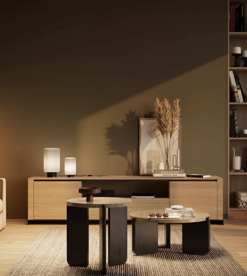 P10_SNIEZKA_salon_03_wieczor_GREY_RAL6007