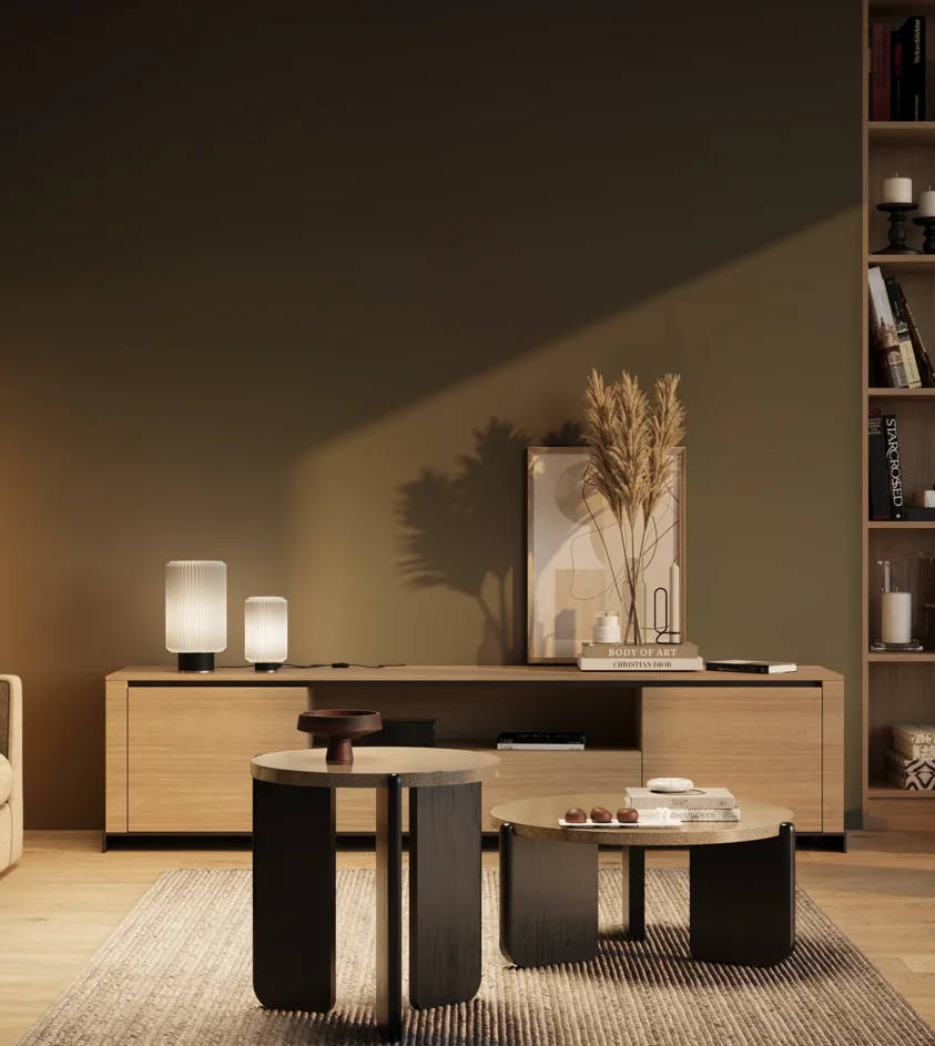 P10_SNIEZKA_salon_03_wieczor_GREY_RAL6009