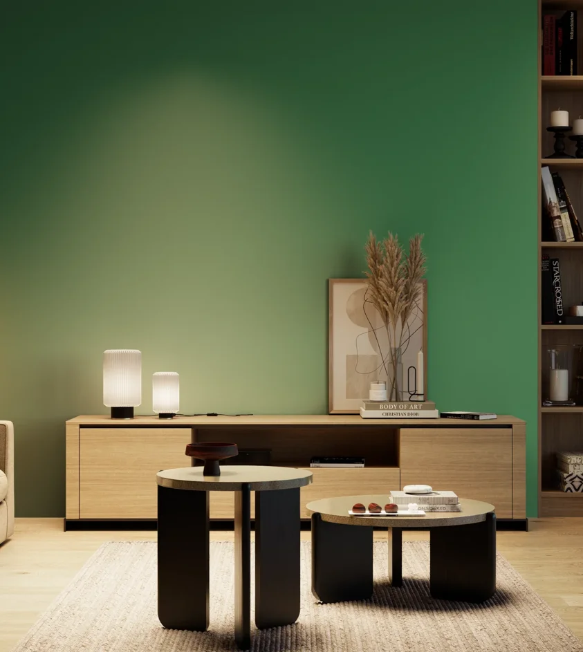 P10_SNIEZKA_salon_04_cieple_GREY_RAL6024