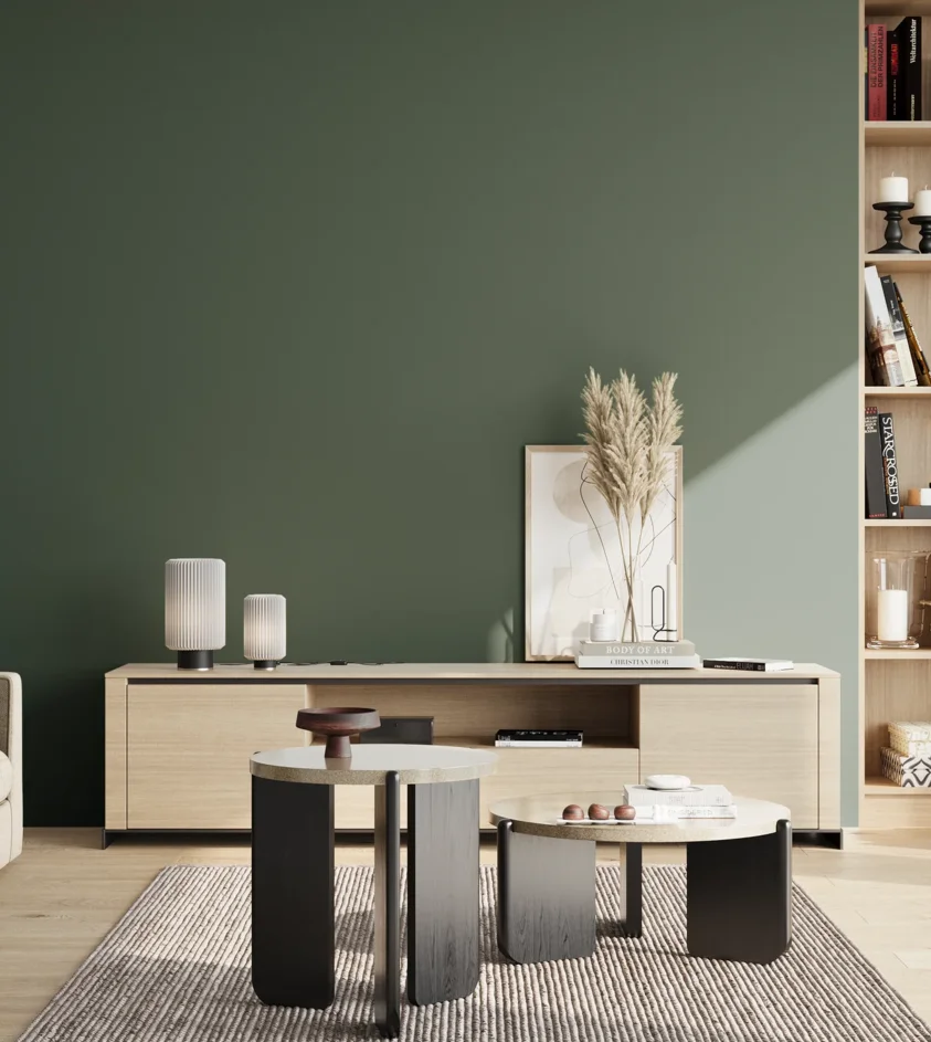 P10_SNIEZKA_salon_02_poludnie_GREY_RAL6028