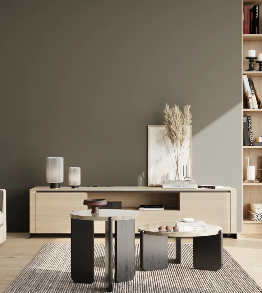 P10_SNIEZKA_salon_02_poludnie_GREY_RAL7009