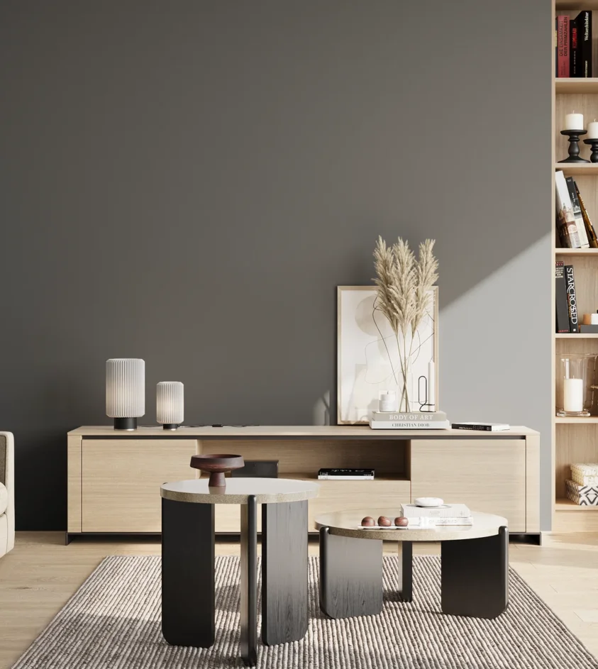 P10_SNIEZKA_salon_02_poludnie_GREY_RAL7011