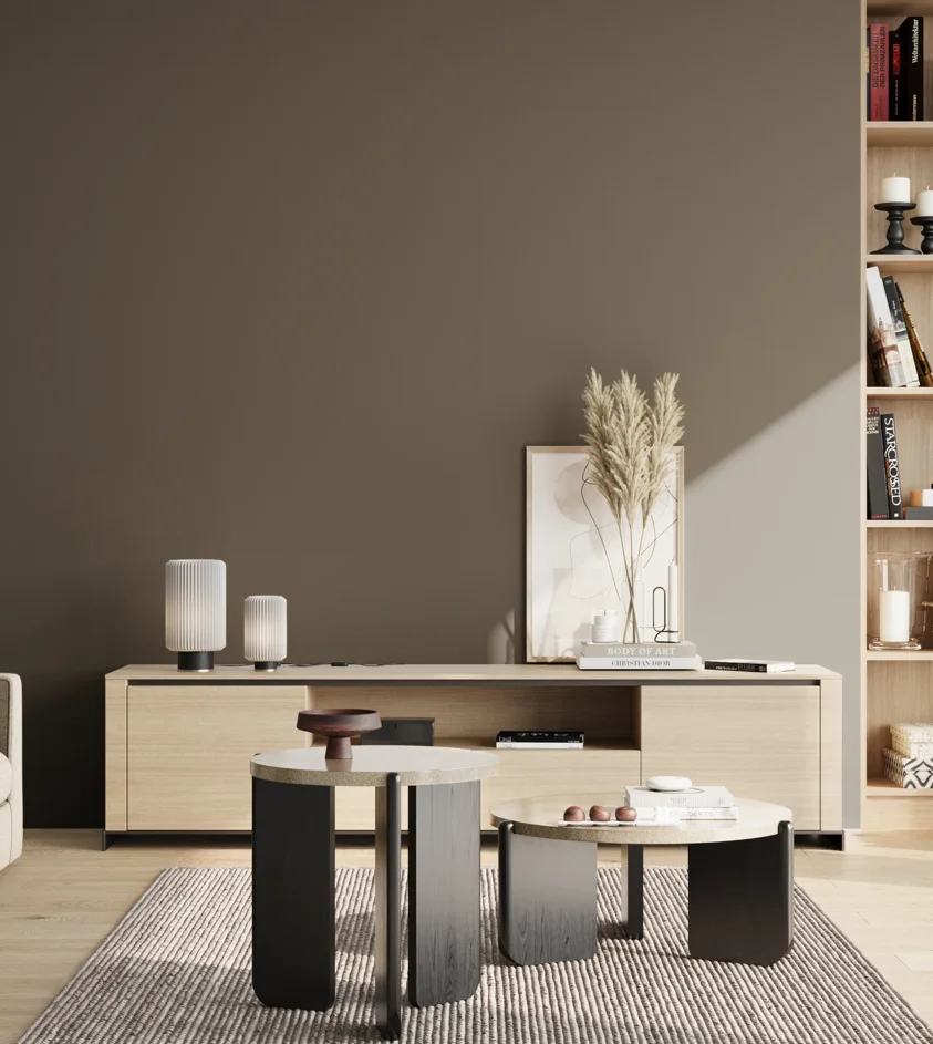 P10_SNIEZKA_salon_02_poludnie_GREY_RAL7013
