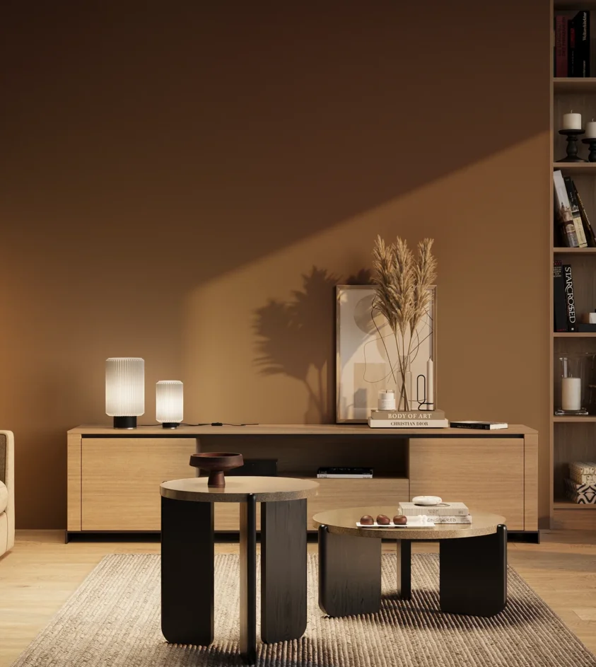 P10_SNIEZKA_salon_03_wieczor_GREY_RAL8007