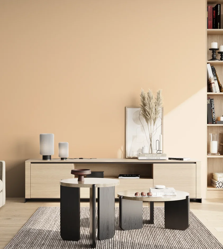 P10_SNIEZKA_salon_02_poludnie_GREY_S0515-Y40R