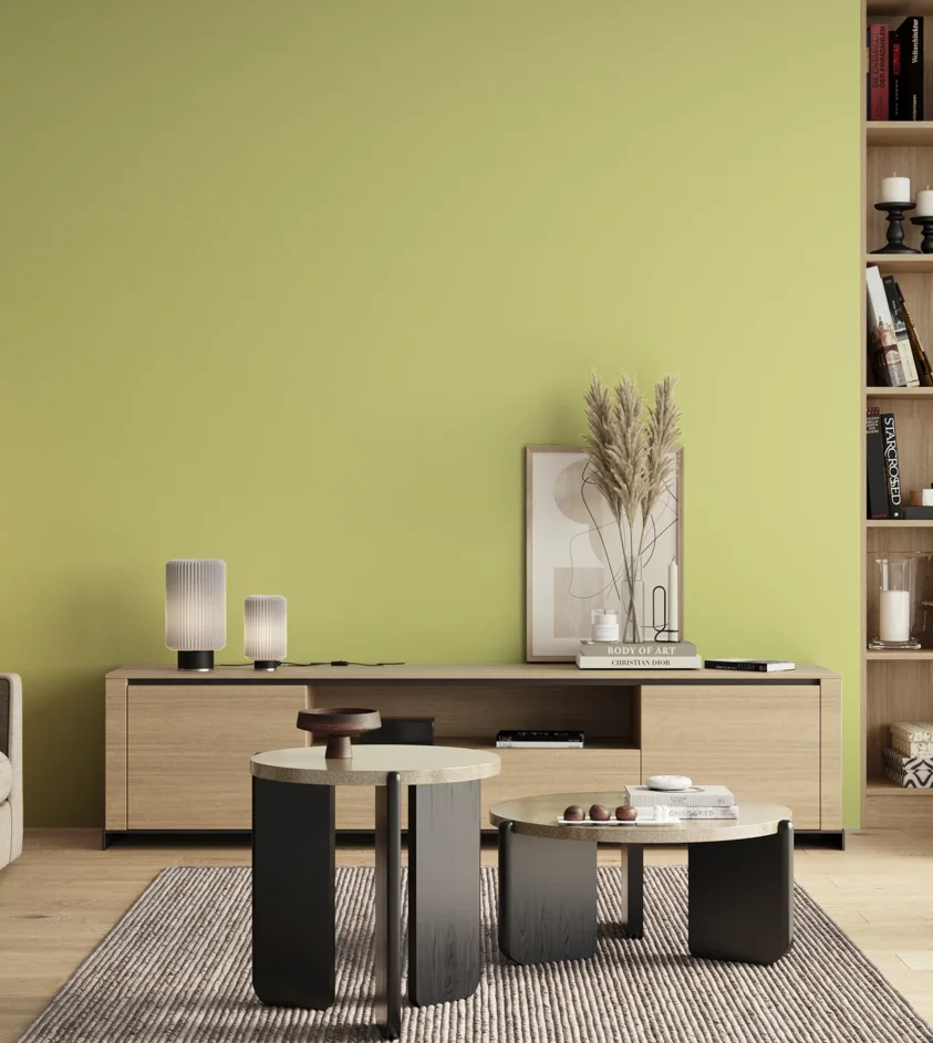P10_SNIEZKA_salon_00_neutral_GREY_S0530-G70Y