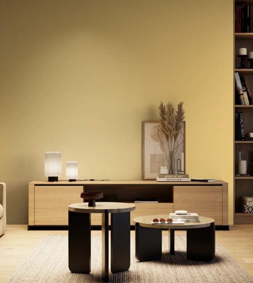 P10_SNIEZKA_salon_04_cieple_GREY_S0530-Y10R