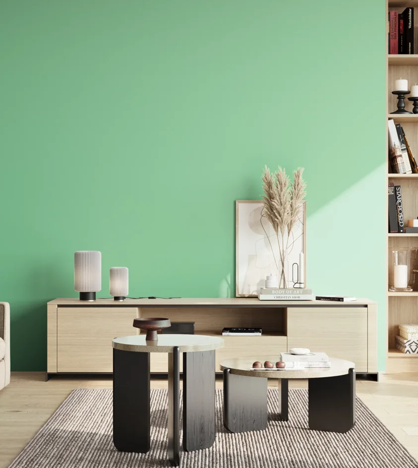 P10_SNIEZKA_salon_02_poludnie_GREY_S0540-G