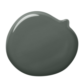 ral6009